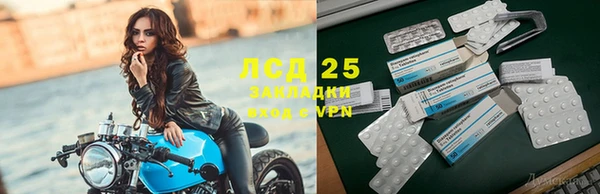 крисы Алексин