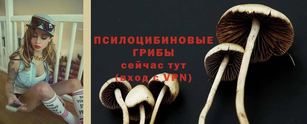 амф Абдулино