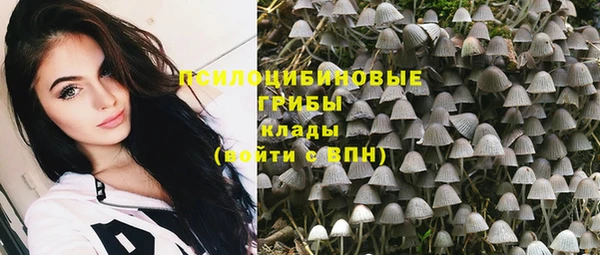 амф Абдулино