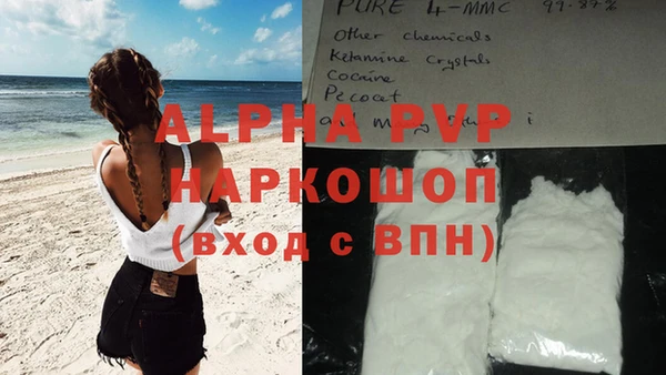 прущие грибы Переславль-Залесский