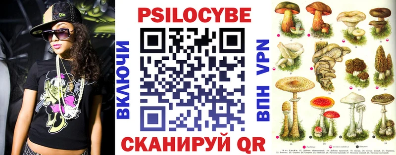 продажа наркотиков  darknet наркотические препараты  Галлюциногенные грибы MAGIC MUSHROOMS  Пошехонье 